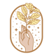 chacomayorista.pages.dev favicon
